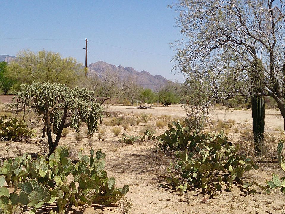 2nd image of 11220 N Shadow Vista Pl #1
