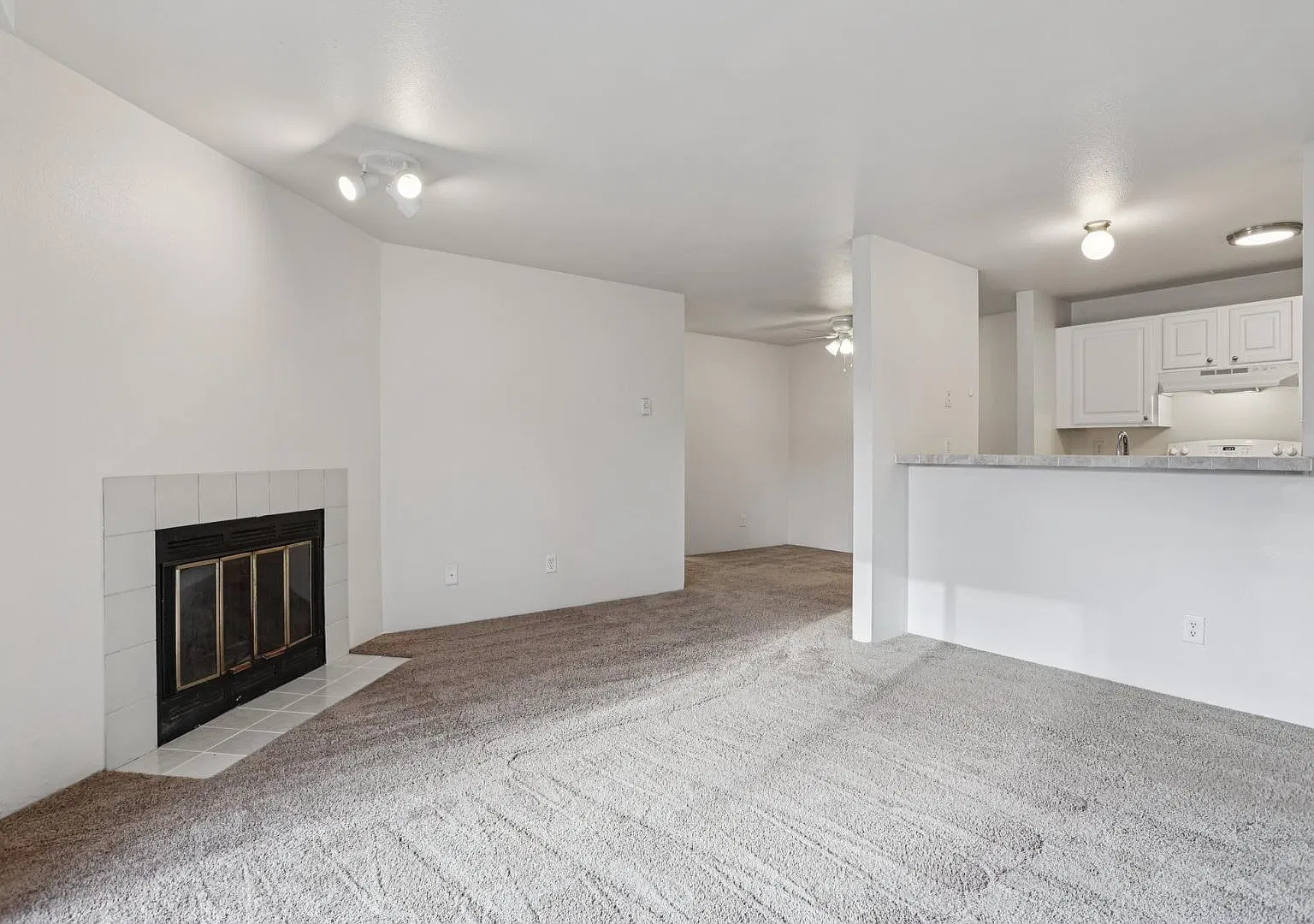 3516 204th Street Sw - Poplar-H101+ — Photo 2