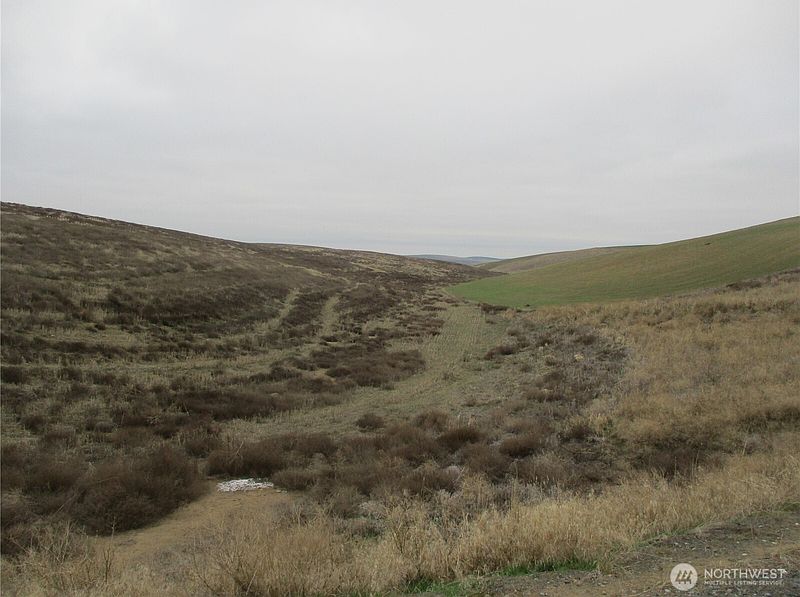 2nd image of 0 Rice Road