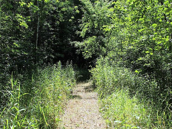 A part of the trail heading into the property.