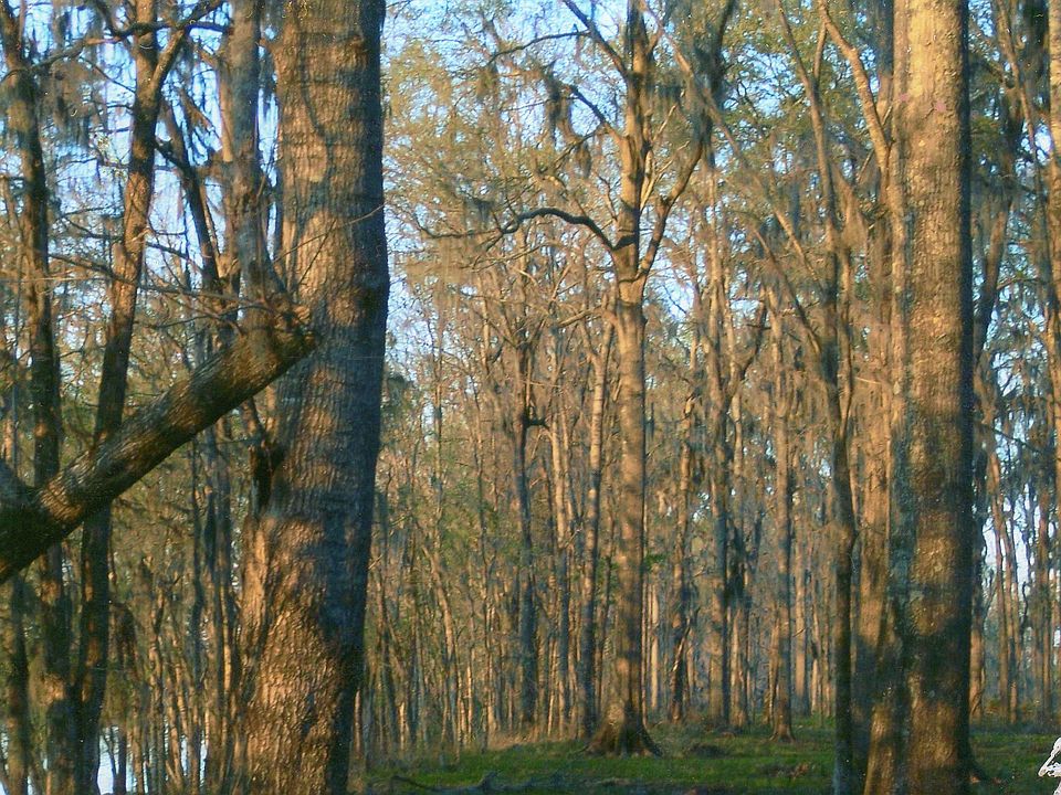 2nd image of Heron Point River Village Phase 1 Lot 10