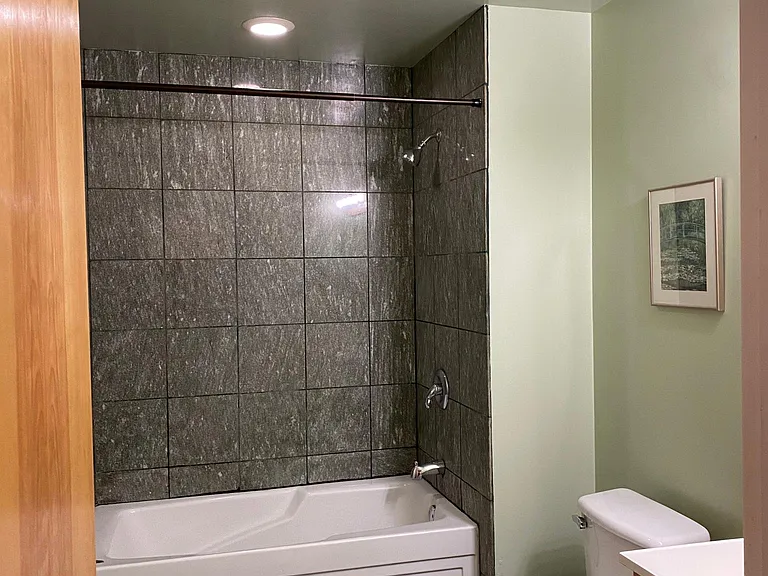 4101 S Michigan Ave #T4 — Photo 3