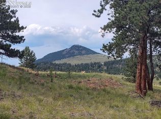 220 Reed Cir, Florissant, CO 80816