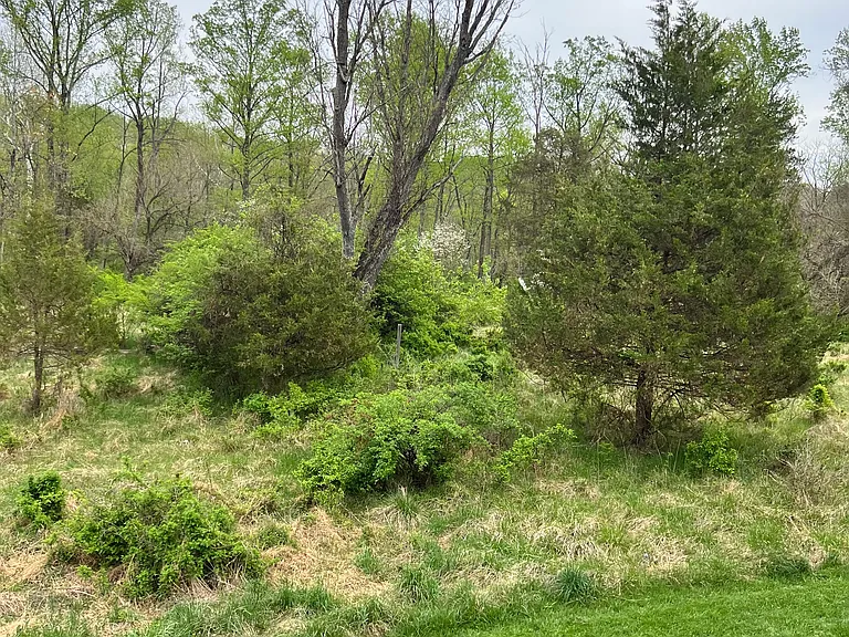 516 Meadow Hall Dr #516 — Photo 51