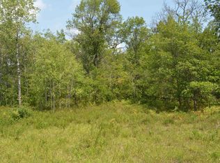 Bear Lake Dr, Johannesburg, MI 49751