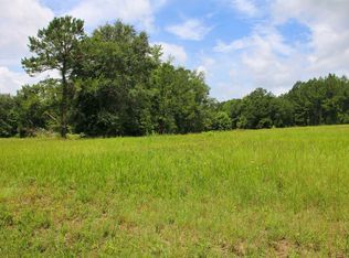 983 Mays Rd, Lamont, FL 32336