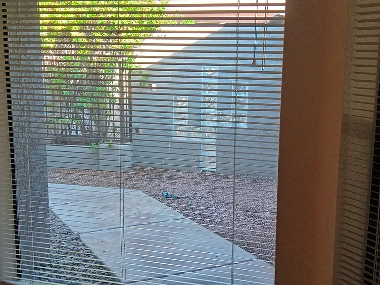 14022 N Cameo Dr — Photo 16