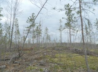 Jennison Grove Rd, Hubbard lake, MI 49747