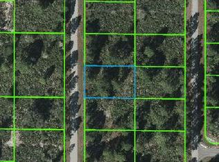 358 Otter Ave NW, Lake Placid, FL 33852