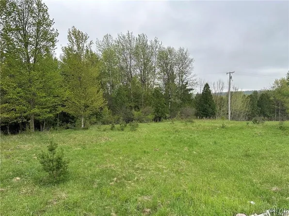 LOT 2B Nys Rte #126, Carthage, NY 13619