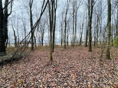 0 Kinsman Nickerson Rd, Kinsman, OH, 44428