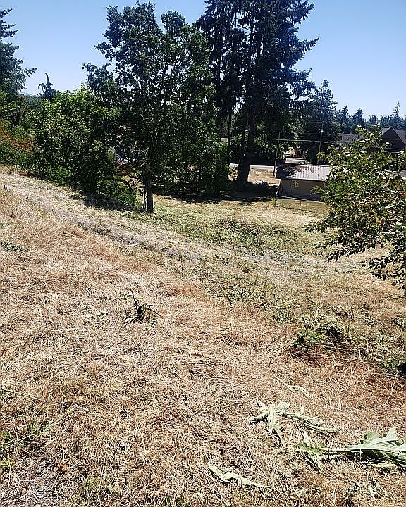 2nd image of 1107 Scenic View Dr