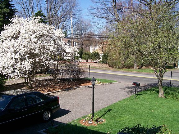 beautiful neighborhood