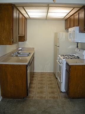 3rd image of 1520 Petree St APT 676