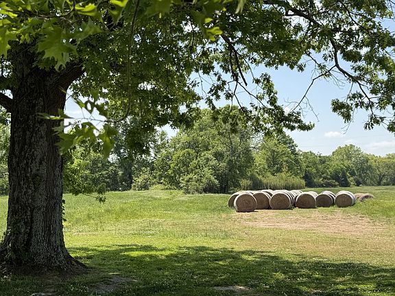 2nd image of 1501 Saint Charles Dr Lot 501