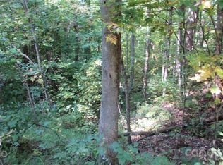 E Nineteen Red Wolf Run None, Mars Hill, NC 28754