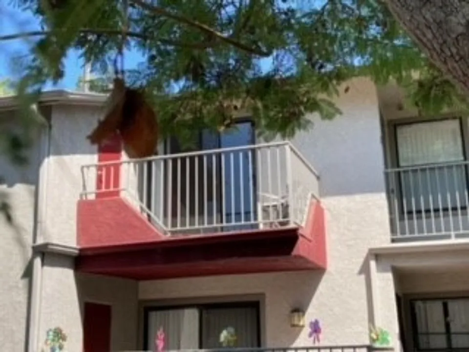 322 Hillside Terrace