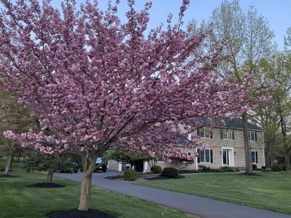 100 Knickerbocker Dr, Montgomery Twp., NJ 08502