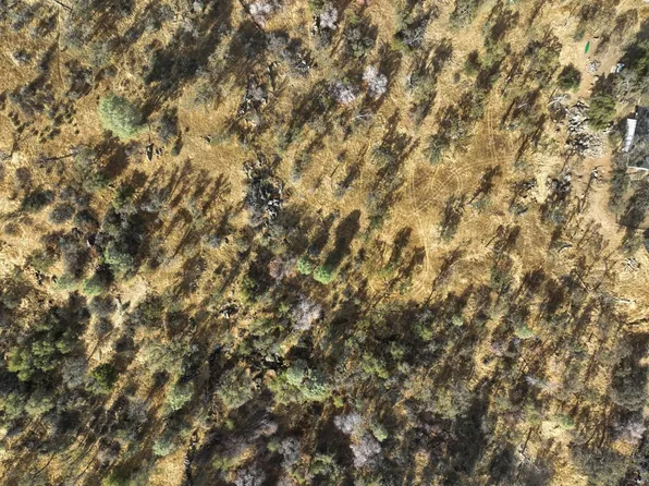 1203 Corral Dr, Coarsegold, CA 93614