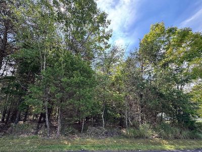 0 Bluewater Dr #11, Moneta, VA, 24121