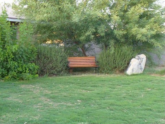 Beutiful foliage and plants