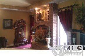 Woodburning fireplace insert