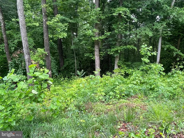 LOT 26 Compass Ct, King George, VA 22485