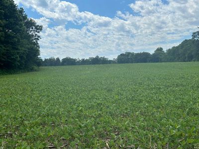 0 E 800 N, Lafayette, IN, 47905