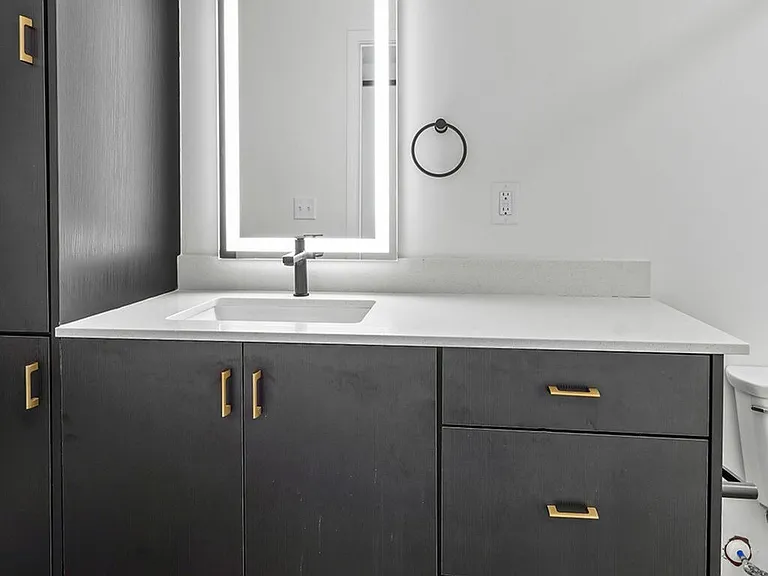 Unit A4: Bathroom Vanity