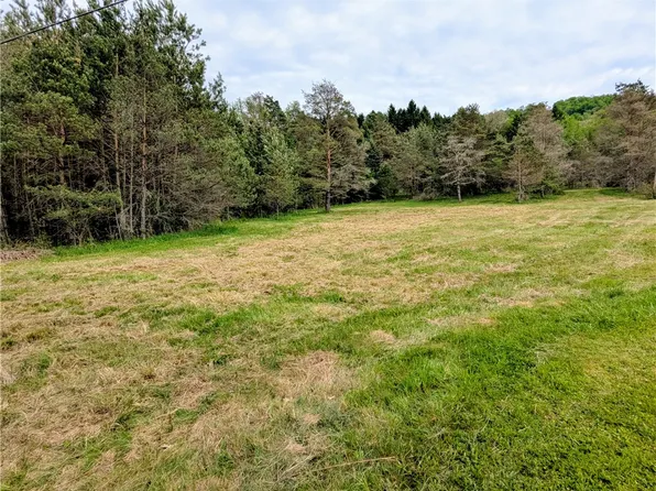 2 Two Mile Rd Lot 3, Smethport, PA 16749