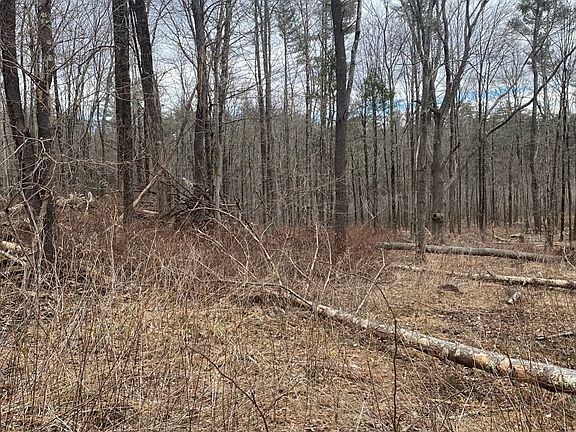 3rd image of LOT 80-80.1 Brentwood Dr