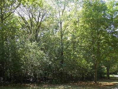 1965 Windridge Dr LOT 20, Lake Forest, IL, 60045