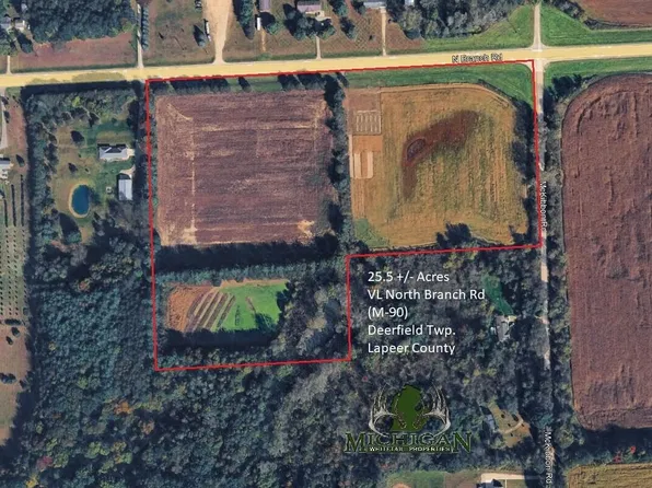 Vl North Branch Rd, North Branch, MI 48461