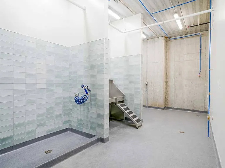 Keep your furry friend fresh and clean with the convenience of an on-site pet wash station, perfect for quick rinses or full spa days.