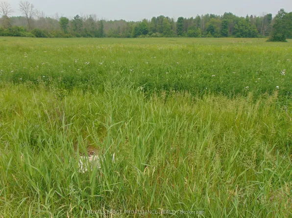 0 Charleville Rd N, Augusta, ON K0E 1T0