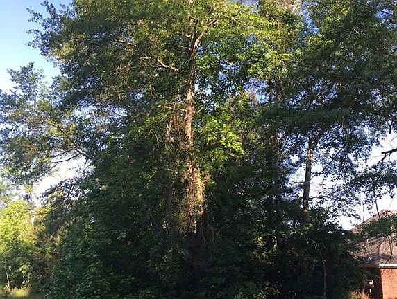 3rd image of 197 Elm Dr