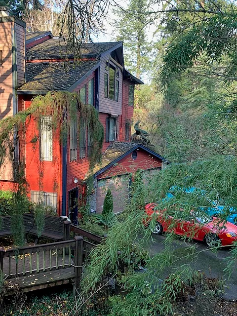1 bed, $810 — Photo 1