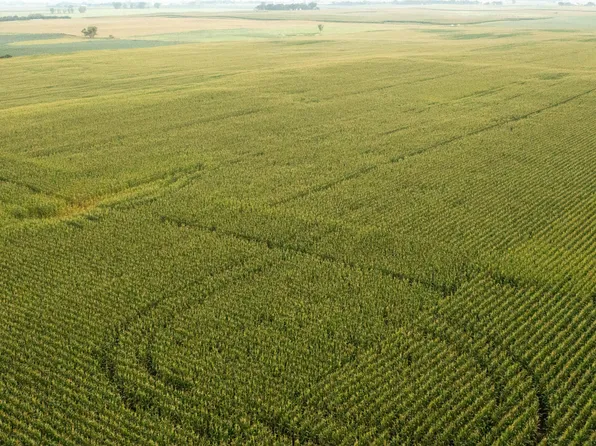 222nd St, Tellico Plains, TN 37385