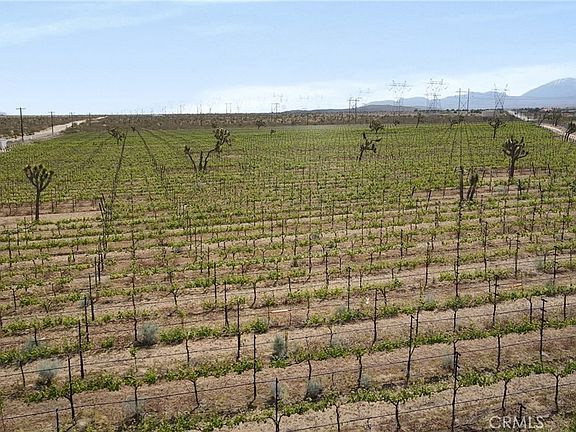 2nd image of 0 Fort Tejon Vic 82nd St E