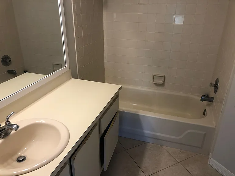 Master Bathroom with tub