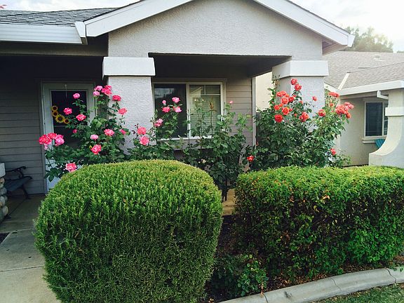 2nd image of 401 Donner Ct