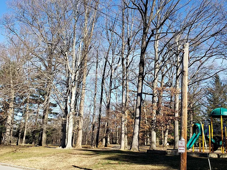 3016 Edgewood Rd — Photo 20