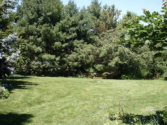 Spacious Treed Backyard