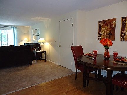 5th image of 98 Powers St APT 241