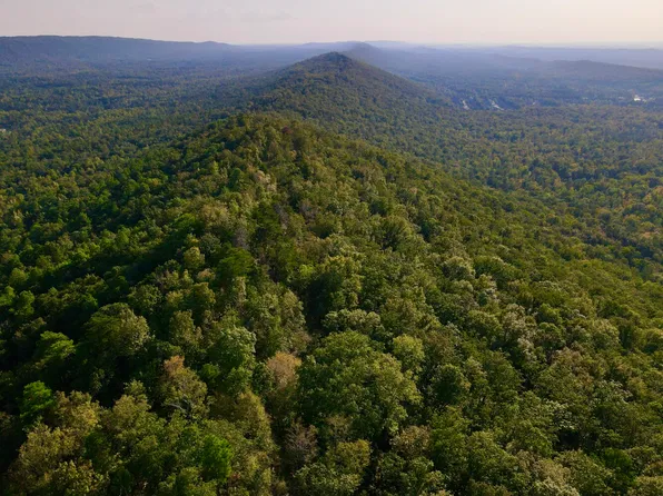 0 Off Hwy #119, Leeds, AL 35094