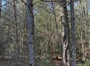 5 50th Ave Tract 5, Gruetli Laager, TN 37339