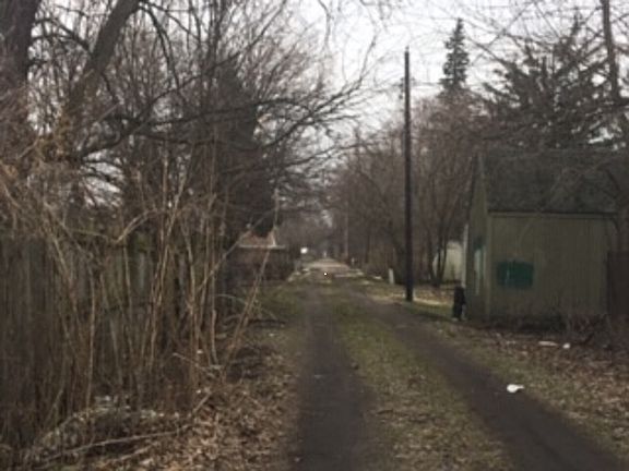 5th image of 513 S Albert Ave