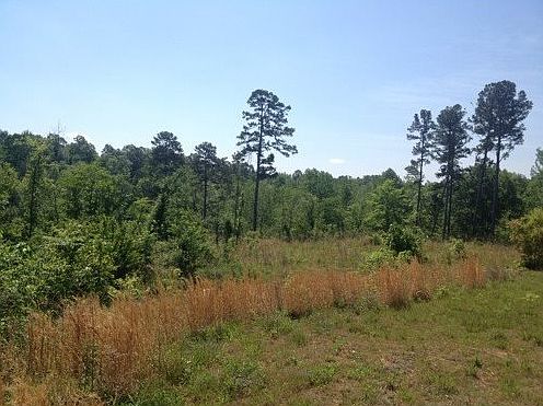 2nd image of 94B County Road 656