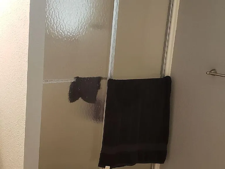 Master Bath Shower
