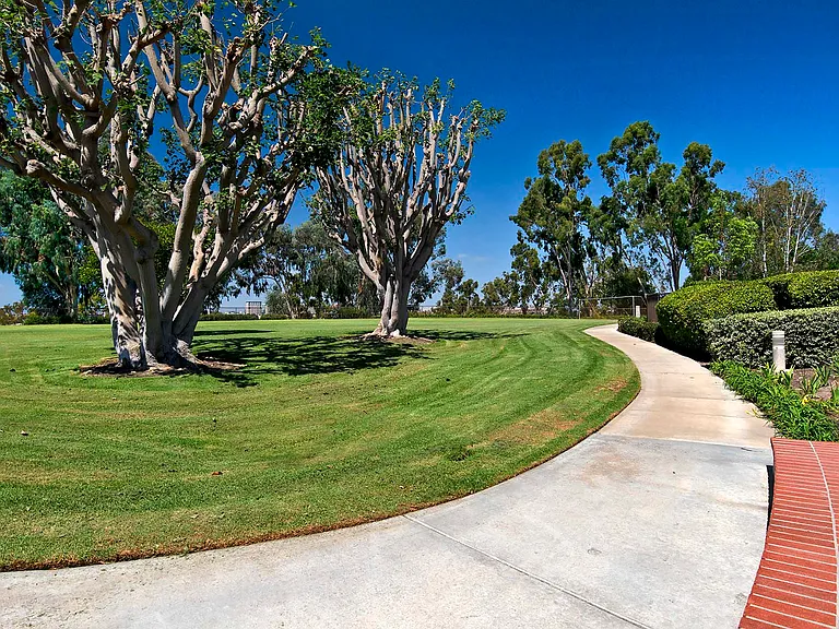 157 Stanford Ct — Photo 16